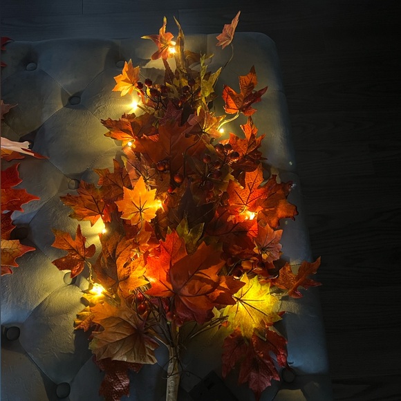 Fall decor - Picture 2 of 3